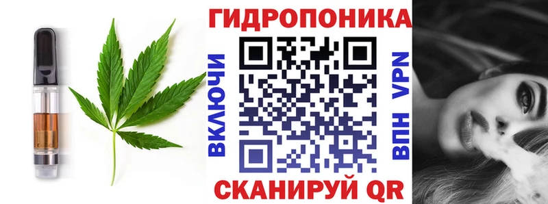 купить наркоту  omg рабочий сайт  Canna-Cookies марихуана  Орехово-Зуево 