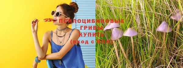 индика Алзамай