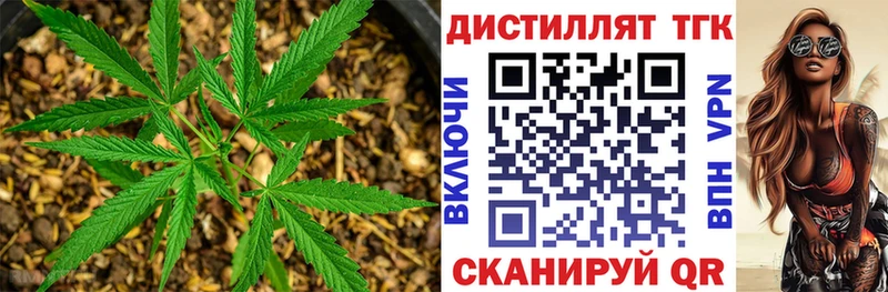 МЕГА ТОР  купить наркоту  Орехово-Зуево  Дистиллят ТГК вейп с тгк 